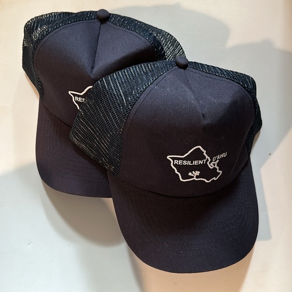 2 QTY RESILIENT OAHU Navy Caps - Picture 3 of 5